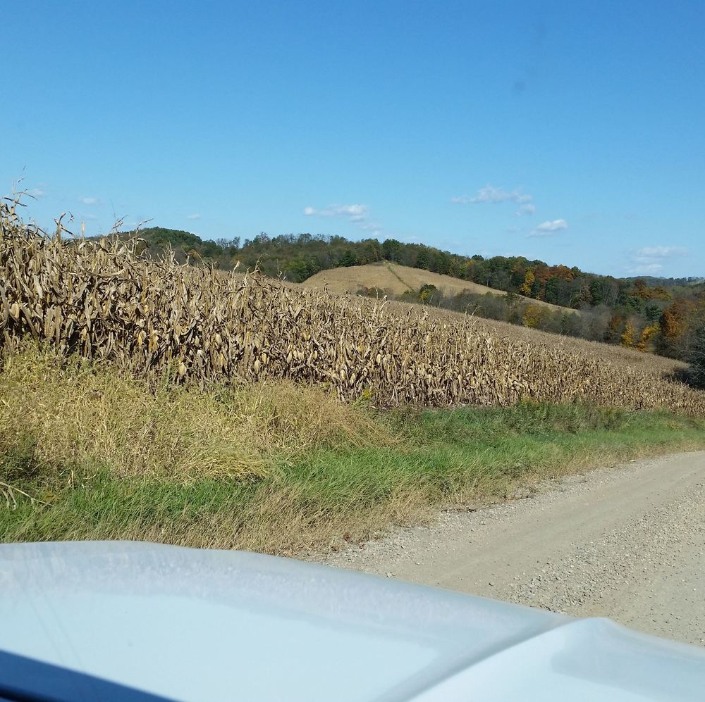 Meet your Posher, Chrystal